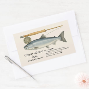 Röd lax (Oncorhynchus masou – Japanska: 桜鱒,サクラマス,  Rektangulärt Klistermärke