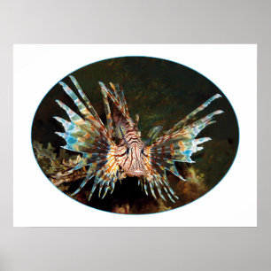 Röd lejonfisk, Raja Ampat - Fotografisk design Poster