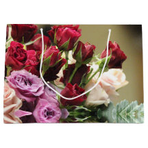 Röd Lila och Rosa ros