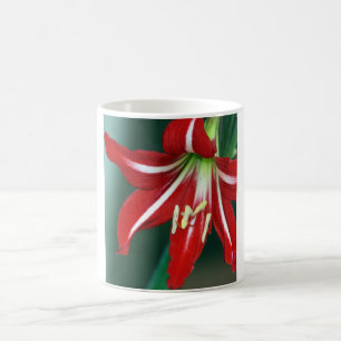 Röd lilja kaffemugg