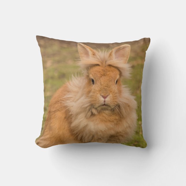 Röd lionhead Pet Bunny Rabbit Dekorativ kudde (Framsida)