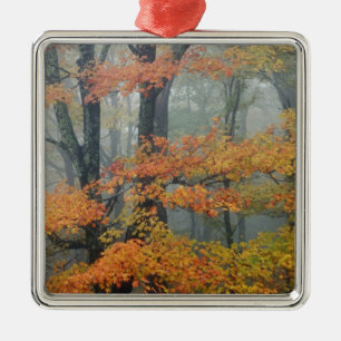 Röd lönn, Acer rubrum, porträtt i dimma Julgransprydnad Metall