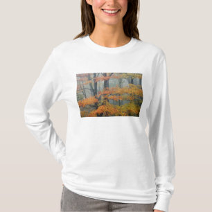 Röd lönn, Acer rubrum, porträtt i dimma T Shirt