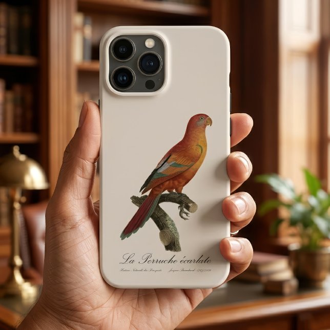 Röd Lori eller Eos Bornea, Trichoglossus borneus (Red Lory or Eos Bornea, Trichoglossus borneus. iPhone Case)