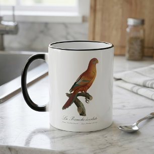 Röd Lori eller Eos Bornea, Trichoglossus borneus Magisk Mugg