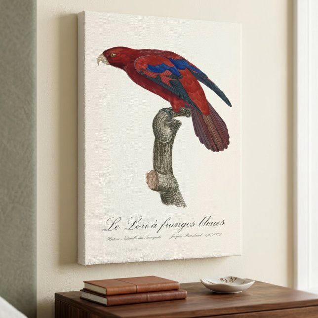 Röd lori, Trichoglossus borneus Canvastryck (Long-Tailed Red Lory, Trichoglossus borneus. Canvas Print)