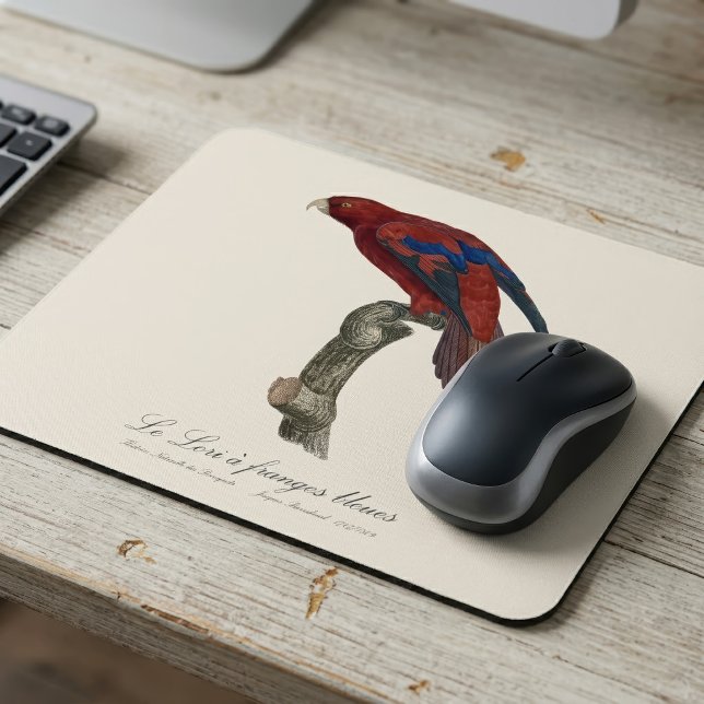 Röd lori, Trichoglossus borneus Musmatta (Long-Tailed Red Lory, Trichoglossus borneus. Mouse Pad)