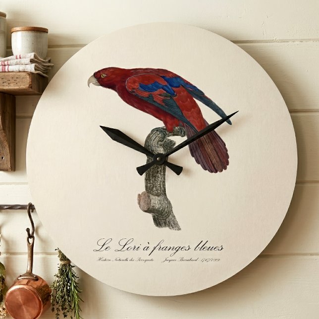 Röd lori, Trichoglossus borneus Stor Klocka (Long-Tailed Red Lory, Trichoglossus borneus. Large Clock)