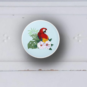 Röd Macaw Papegoja Tropisk Vit Hibiskus Blommig Knopp