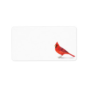 Röd Male kardinal Adressetikett