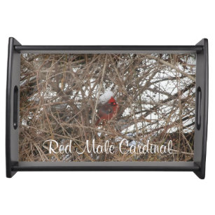 Röd Male kardinal i snöig grenar Frukostbricka