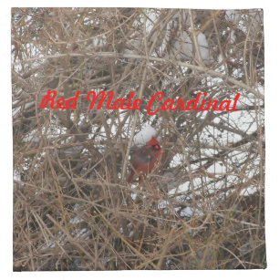 Röd Male kardinal i uppsättning för Tygservett