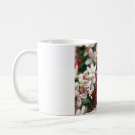 Röd Male kardinal Kaffemugg