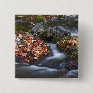 Röd maple lämnar mattan med sten i knapp