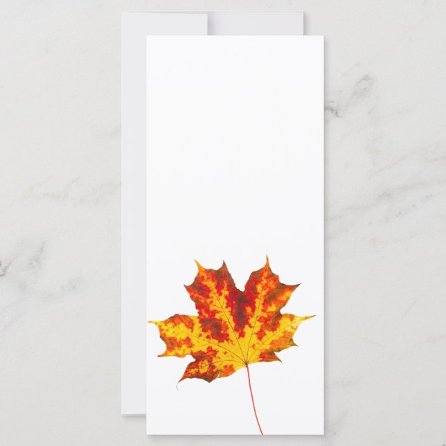 Röd maple löv (Framsida)