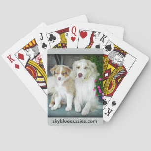 Röd Merle Aussie som leker kort Kortlek