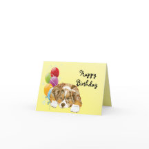 Röd Merle Aussie valpgrattis på födelsedagen