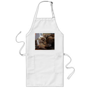 röd merle mini aussie sov 2 långt förkläde