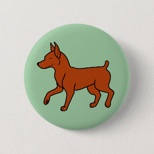 Röd miniatyrPinscher Knapp
