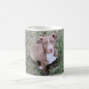 Röd mugg för näsPitbull kaffe