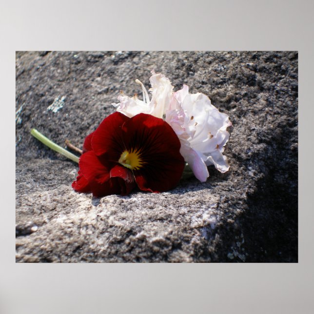 Röd-n-vit Poster (Framsidan)