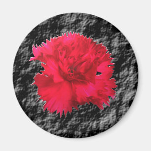 Röd nejlikafantasi Magnet