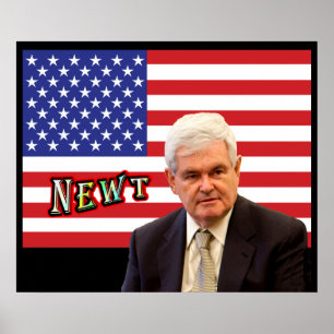 Röd NEWT -, vit & blått Poster