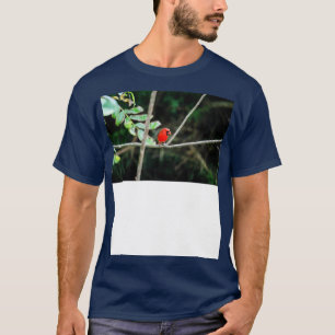 röd nordlig kardinal TShirt T Shirt