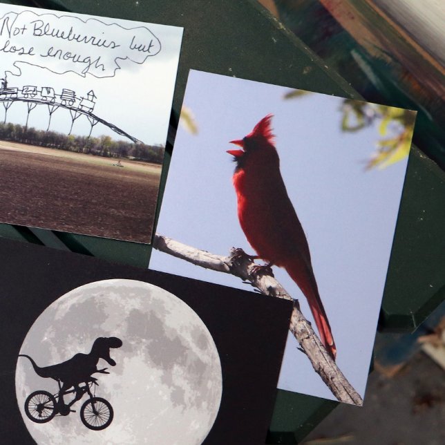 Röd nordlig kardinalfågel vykort (Skapare uppladdad)