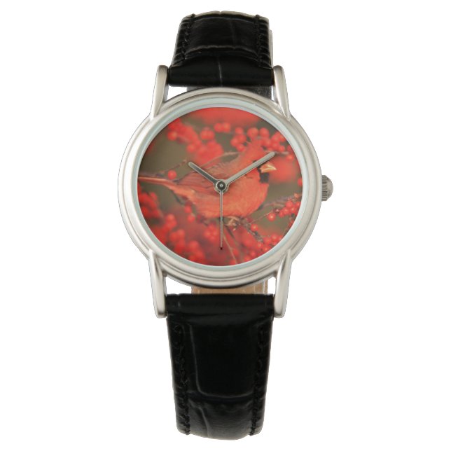 Röd nordlig kardinalhanne, IL Armbandsur (Framsida)