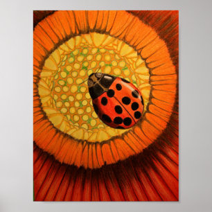Röd Nyckelpiga på Zinnia Poster