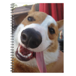 Röd och för vitPembroke walesisk Corgi Anteckningsbok
