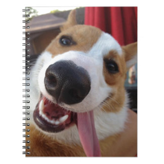 Röd och för vitPembroke walesisk Corgi Anteckningsbok