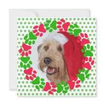 Röd och grön hundfotsavtryckskrans Foto