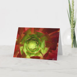Röd och grön suckulent av amyen Vangsgard Kort