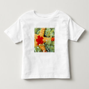 Röd och gul sjöstjärna t shirt