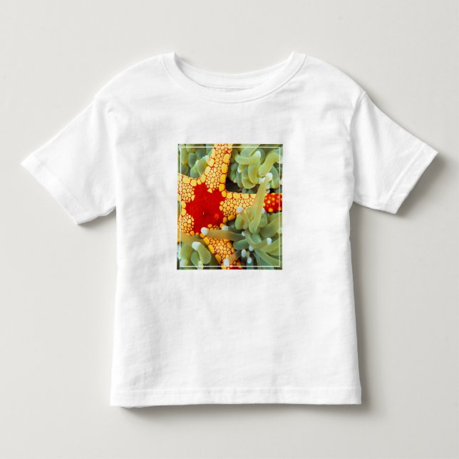 Röd och gul sjöstjärna t shirt (Framsida)