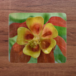 Röd och Gult Bicolor Columbine Blommigt