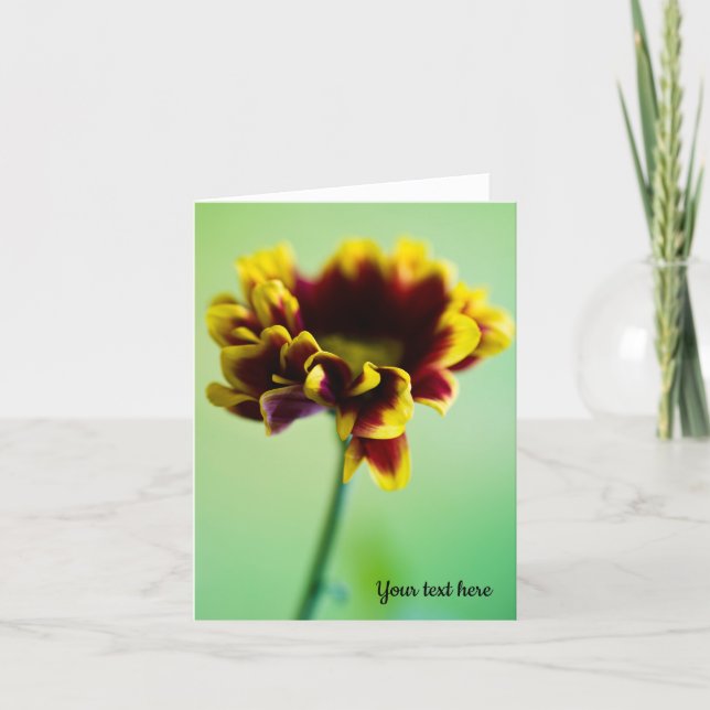 Röd- och gult-daisy-kort tack kort (Framsida)