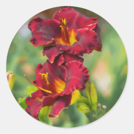 Röd och Gult Daylily Flower Digital Painting Runt Klistermärke