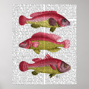 Röd och Gult Fantasy Fish Trio Poster