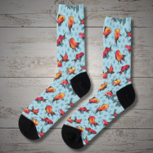 Röd och gult fisk i blå bakgrund