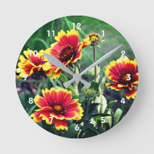 Röd och Gult Gaillardia Blanket Flower Rund Klocka