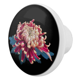 röd och gult japansk krysanthemum svart knopp