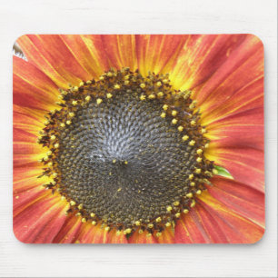 Röd och Gult Solros Mousepad Musmatta