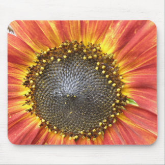 Röd och Gult Solros Mousepad Musmatta