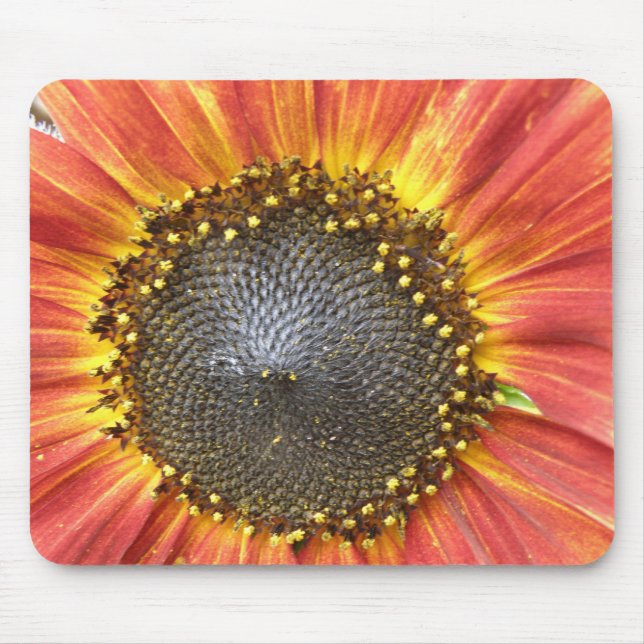 Röd och Gult Solros Mousepad Musmatta (Framsidan)