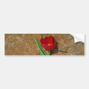 Röd och Gult Tulip Bildekal
