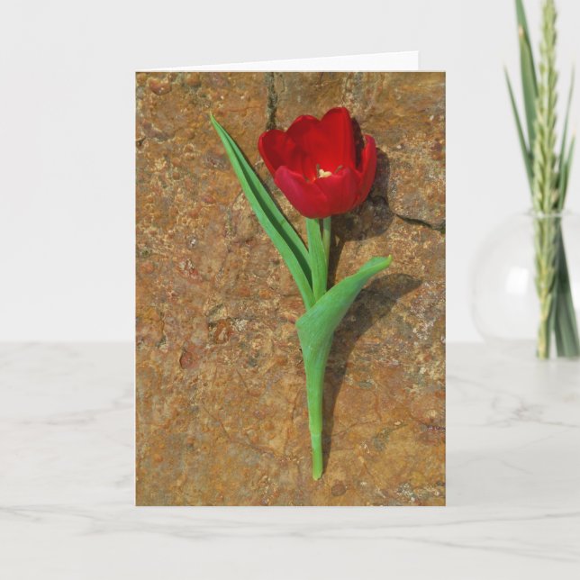 Röd och Gult Tulip Helgkort (Framsida)