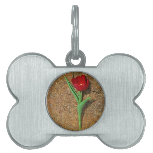 Röd och Gult Tulip Namnbricka Husdjur (Framsidan)